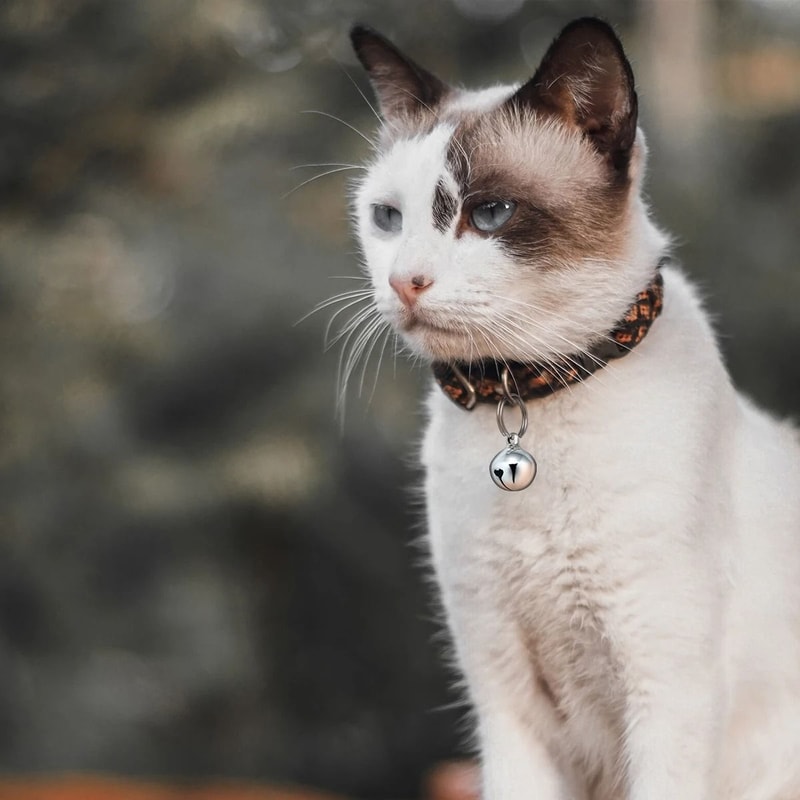 Cat Dog Collar Bells 6 Pack Copper Pet Pendant Bells With Key Rings 4