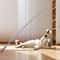 Telescopic Carbon Fiber Cat Wand Feather Toy 110cm Scratch Resistant Fishing Rod 4