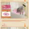 Reusable Cat Toilet Training Kit With Litter Mat For Cleaner Odor Free Pet Bathroom Routine 7