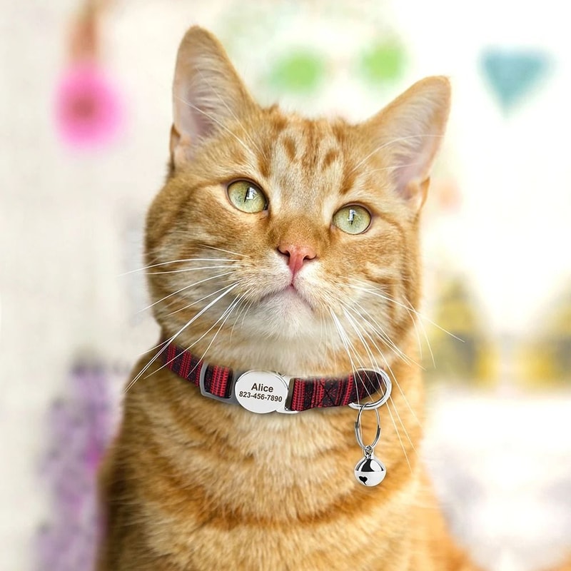 Personalized Cat ID Collar With Bell Custom Anti Lost Name Tag For Small Pets Safety 16