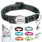 Personalized Cat ID Collar With Bell Custom Anti Lost Name Tag For Small Pets Safety 0
