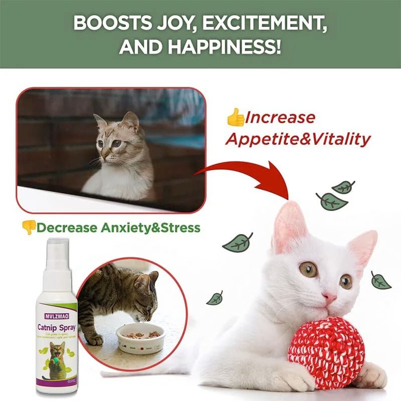 Catnip Spray For Cats Scratching Training Mist For Toys Furniture Beds And Kitten Play 2