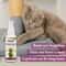 Catnip Spray For Cats Scratching Training Mist For Toys Furniture Beds And Kitten Play 4