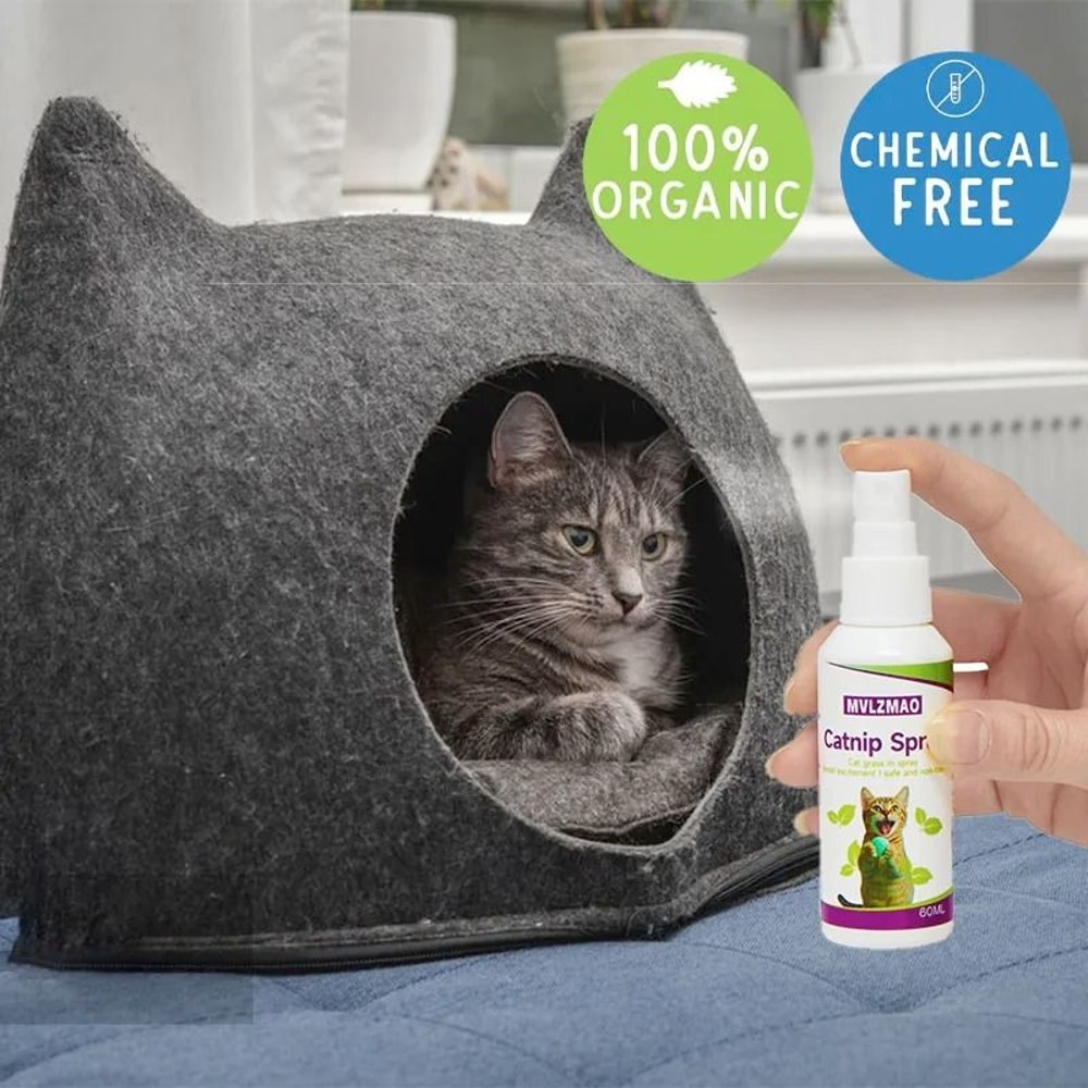 Catnip Spray For Cats Scratching Training Mist For Toys Furniture Beds And Kitten Play 5