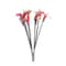 Five Piece Cat Feather Wand Toy Set With Bell For Interactive Kitten Exercise Play 11
