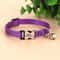 Personalized Engraved Cat Collar Adjustable Anti Lost Name Necklace For Kittens Puppies And Small D 29