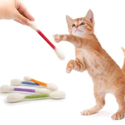 six piece felt cotton swab cat chew toy set for dental teething interactive play kittens