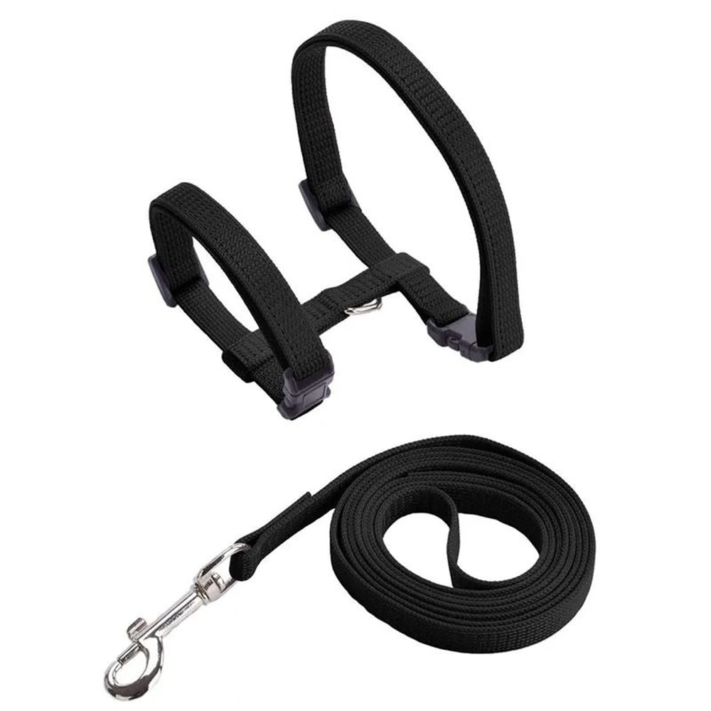 Adjustable Sphynx Cat Harness And Leash Set For Comfortable Outdoor Walking And Training 1