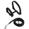 Adjustable Sphynx Cat Harness And Leash Set For Comfortable Outdoor Walking And Training 1