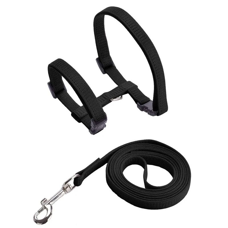 Adjustable Sphynx Cat Harness And Leash Set For Comfortable Outdoor Walking And Training 1