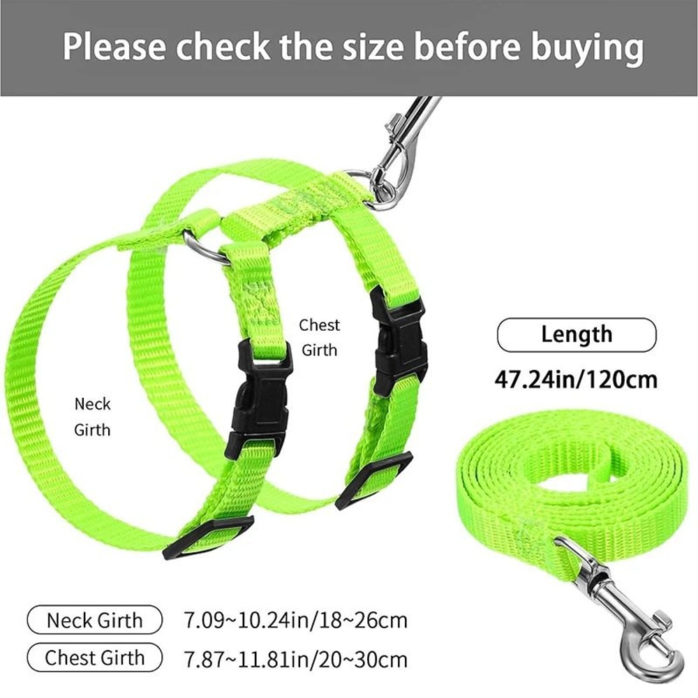 Adjustable Sphynx Cat Harness And Leash Set For Comfortable Outdoor Walking And Training 9