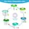 Twelve Piece Activated Carbon Cat Water Fountain Filter Set For 1 6L Pet Dispensers 6