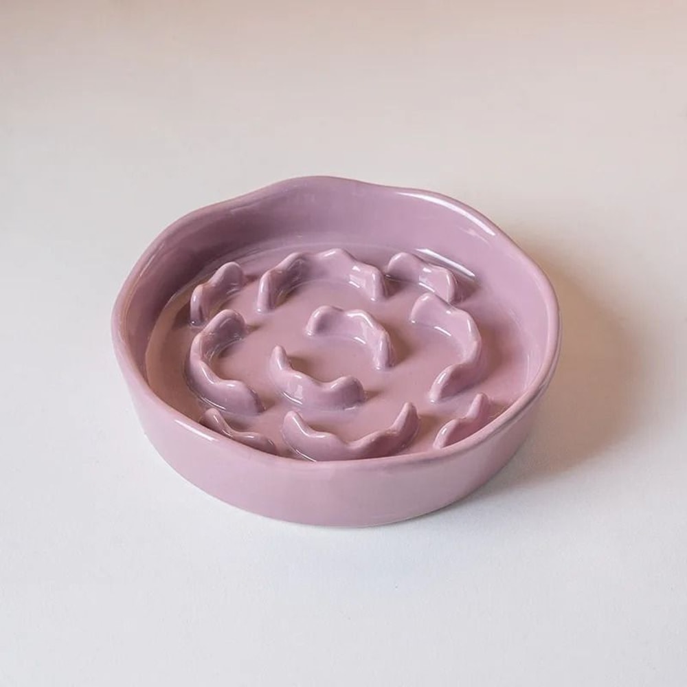 Ceramic Slow Feeder Cat Bowl Elevated Neck Protection Dish For Anti Choking Pet Meals 5