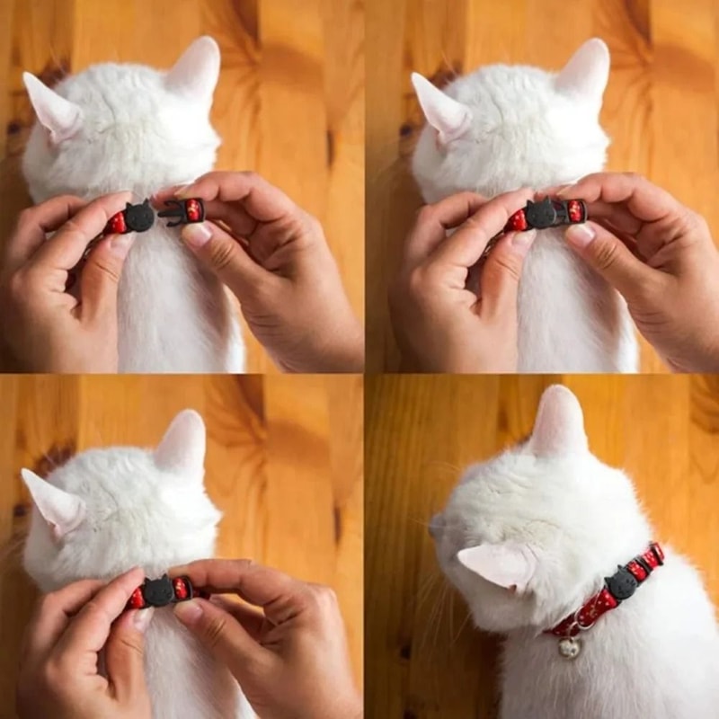 Reflective Star Moon Personalized Cat Collar With Engraved Nameplate Bell For Kitten Safety 11