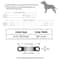 Reflective Star Moon Personalized Cat Collar With Engraved Nameplate Bell For Kitten Safety 8