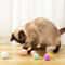 Ten Piece Colorful Plush Pom Pom Cat Toy Balls For Chewing Chasing And Interactive Play 0