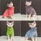 Warm Turtleneck Cat Sweater Coat Soft Fluff Pullover For Hairless Cats And Small Dogs 11