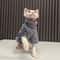 Warm Turtleneck Cat Sweater Coat Soft Fluff Pullover For Hairless Cats And Small Dogs 5