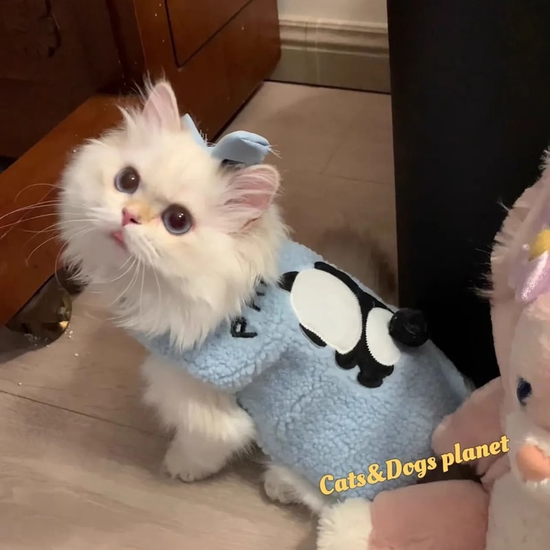 Soft Cozy Cat Sweater Pullover Winter Warm Clothes For Sphynx Cats And Small Dogs Comfort 6