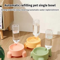 automatic pet water bottle dispenser bowl for cats puppies single bowl daily drinking hydration station