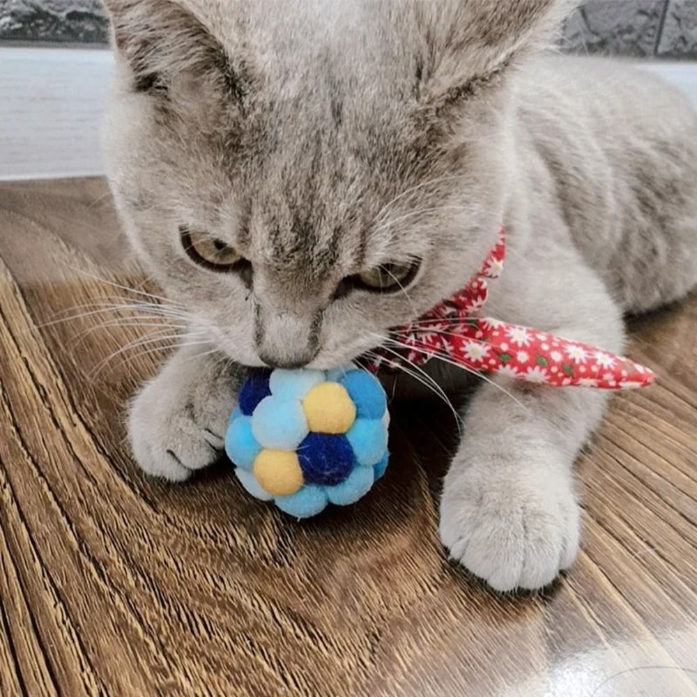 Rainbow Plush Cat Toy Ball With Bell Catnip For Interactive Chewing Chasing And Quiet Play 6