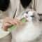 Cat Grass Teething Stick Snack For Hairball Support Teeth Cleaning Digestion And Kitten Chewing 5