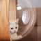 Clear Acrylic Cat Capsule Dome Replacement For Window Perch Bed Tree Shelf And DIY Furniture 4