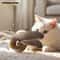 USB Rechargeable Flapping Bird Cat Toy With Catnip Chirping Sound For Interactive Kitten Play 0