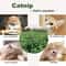 Natural Catnip Bags For Cats 10 Pack Cat Grass Mint Powder 5