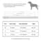 Personalized Cat Collar With Engraved ID Tag For Kittens And Small Dogs 10