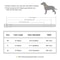 Personalized Cat Collar With Engraved ID Tag For Kittens And Small Dogs 10