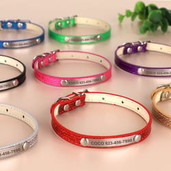 personalized cat collar with engraved id tag for kittens and small dogs