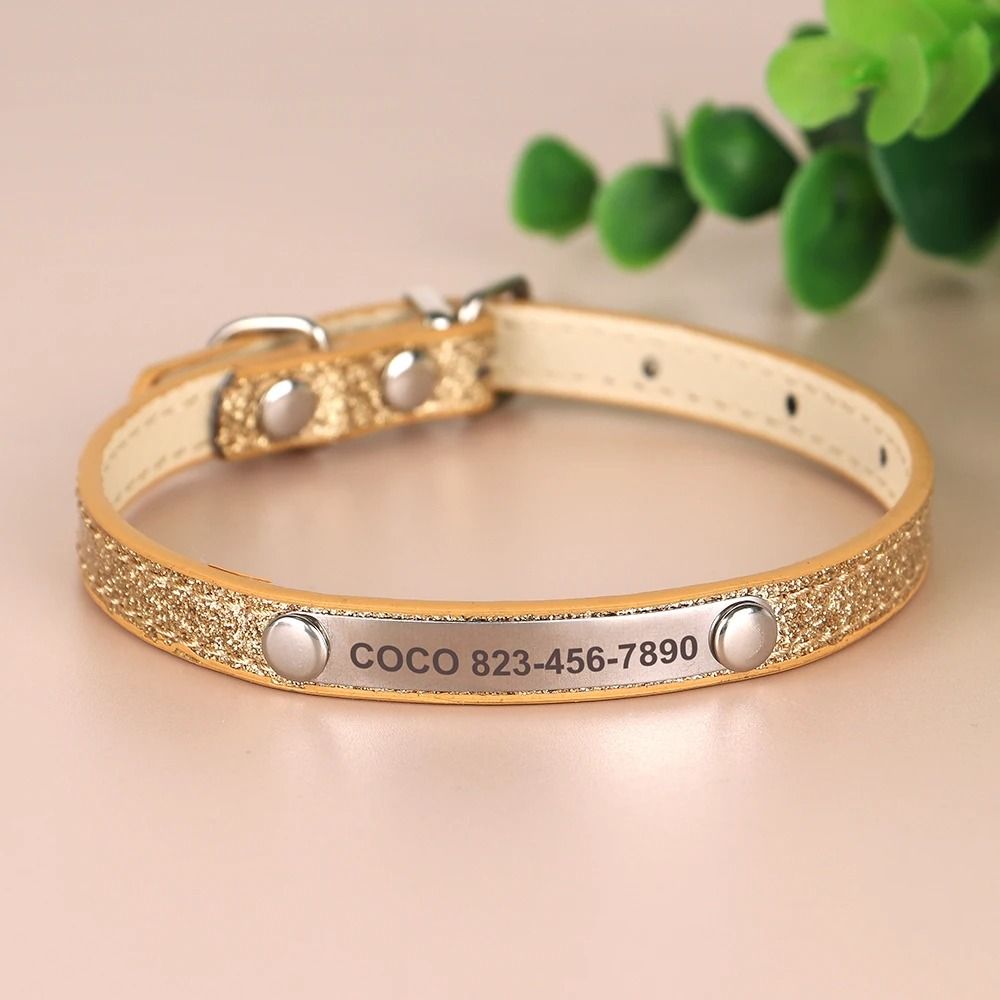 Personalized Cat Collar With Engraved ID Tag For Kittens And Small Dogs 7