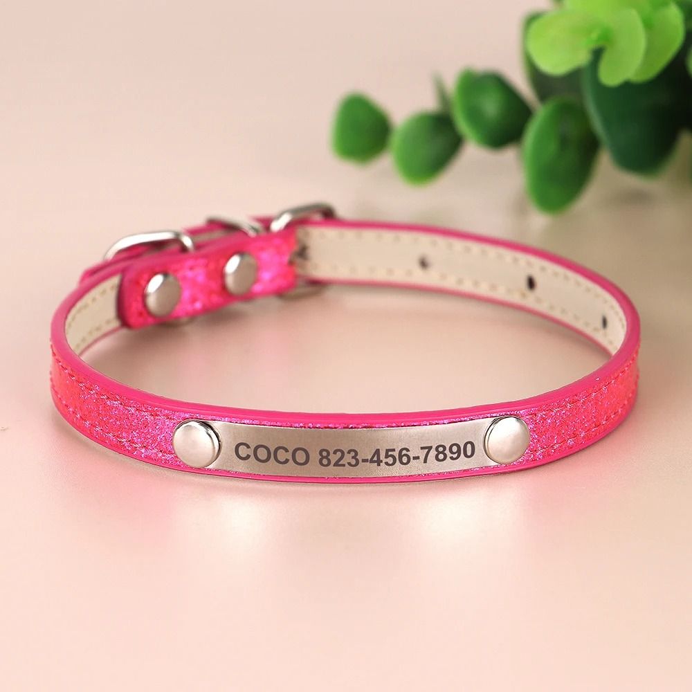 Personalized Cat Collar With Engraved ID Tag For Kittens And Small Dogs 6