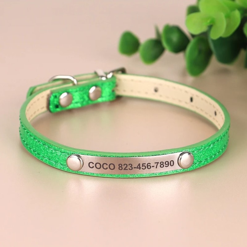 Personalized Cat Collar With Engraved ID Tag For Kittens And Small Dogs 4