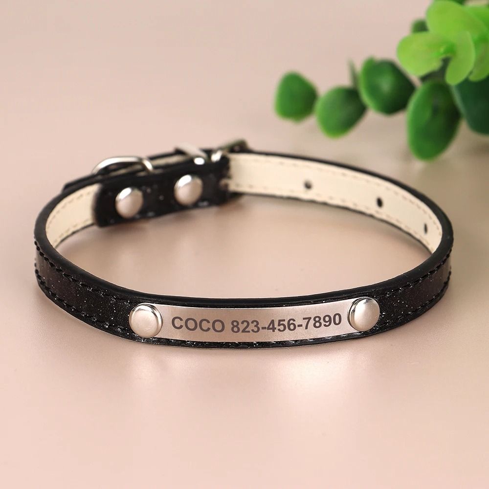 Personalized Cat Collar With Engraved ID Tag For Kittens And Small Dogs 3