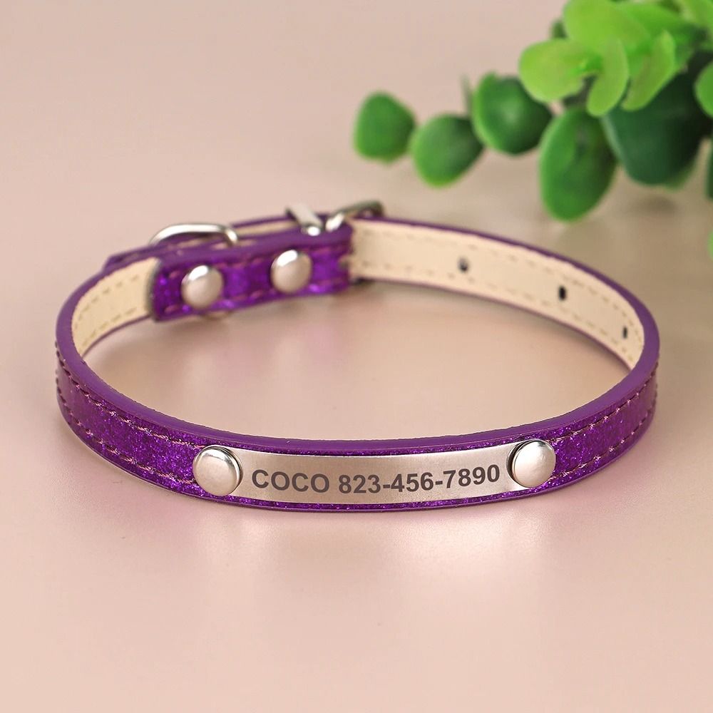 Personalized Cat Collar With Engraved ID Tag For Kittens And Small Dogs 2