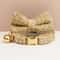 Personalized Cat Collar And Leash Set With Bell And Engraved ID Tag 15