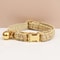 Personalized Cat Collar And Leash Set With Bell And Engraved ID Tag 10