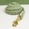 Personalized Cat Collar And Leash Set With Bell And Engraved ID Tag 4