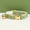 Personalized Cat Collar And Leash Set With Bell And Engraved ID Tag 9