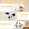 Rechargeable Interactive Cat Mouse Toy With LED Glow And Remote Control 8