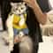 Outdoor Cat Carrier Backpack For Walking Riding And Travel 13
