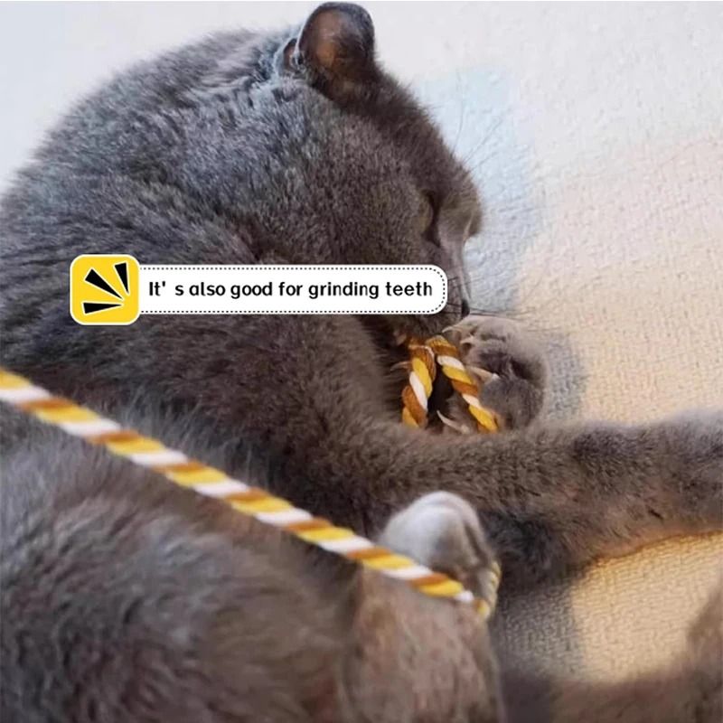 Interactive Cat Teaser Wand With Rope For Chewing And Chasing 9