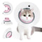 Adjustable Cat Recovery Cone Collar For After Surgery Wound Protection 2