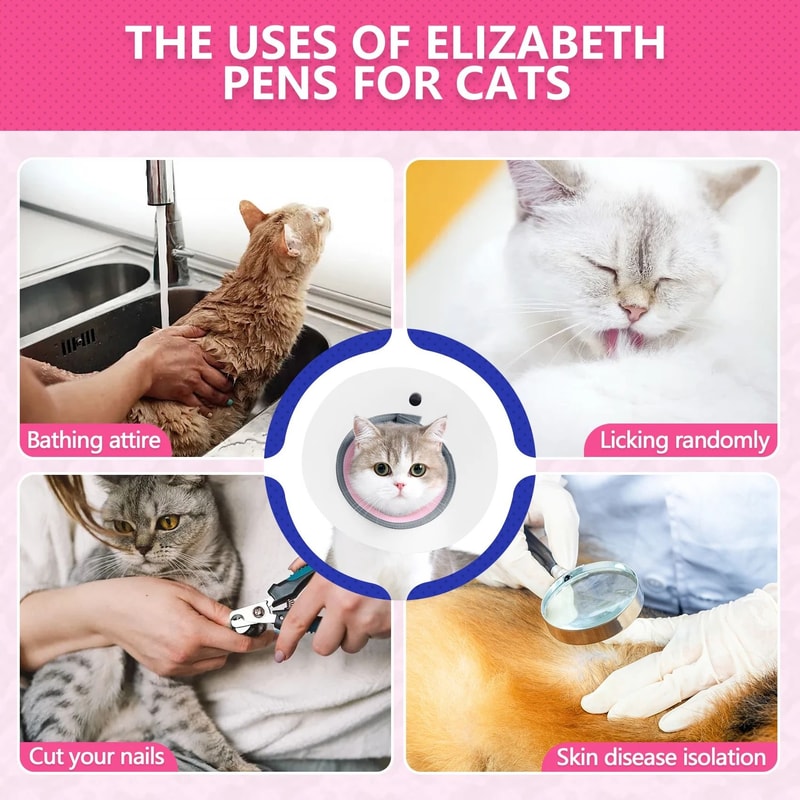 Adjustable Cat Recovery Cone Collar For After Surgery Wound Protection 5