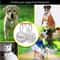 Stainless Steel Engraved Pet ID Tag Diamond Pendant For Cats And Dogs 13