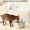 APETDOLA FS10PRO Pet Fountain Replacement Filters 4 Pack 6
