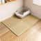 Heavy Duty Waterproof Cat Litter Mat Two Layer Non Slip Floor Protector 1