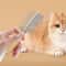 Stainless Steel Cat Comb With Wood Handle For Pet Hair Removal 6